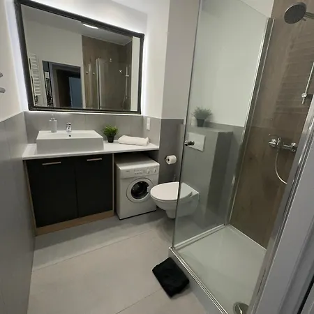 Apartament Katowicka * Poznań