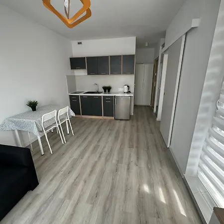 Apartament Katowicka * Poznań