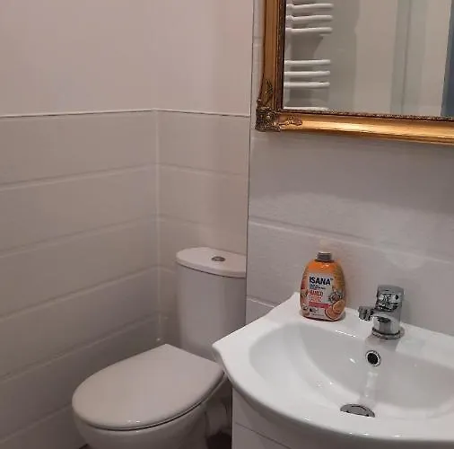 Apartament Katowicka Appartamento Poznań