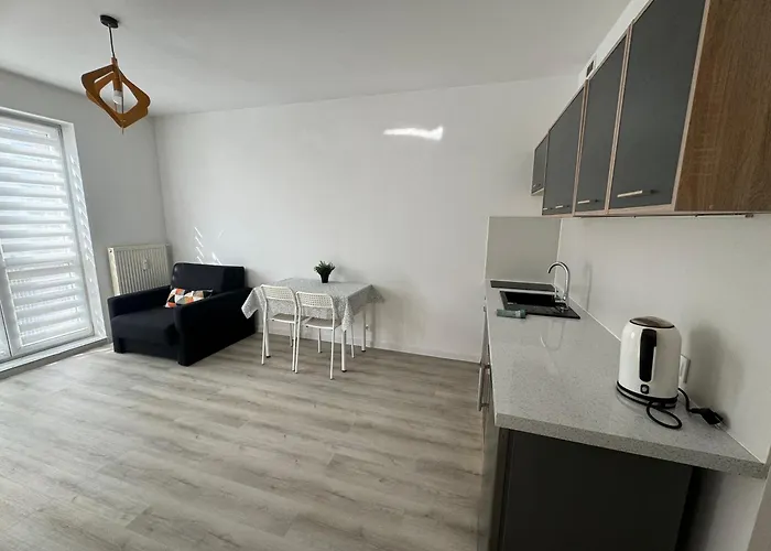 Apartament Katowicka Appartamento Poznań