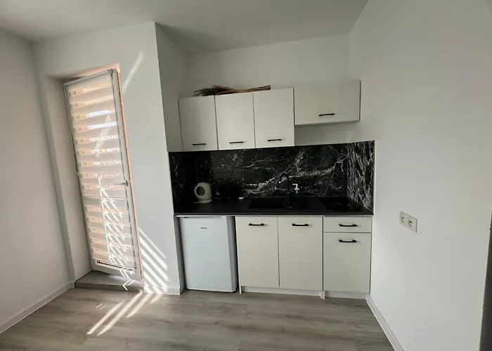 Apartament Katowicka Апартаменты Познань