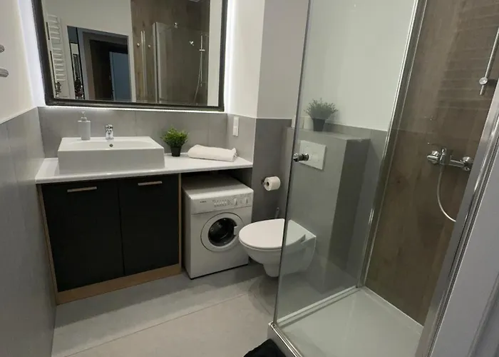 Apartament Katowicka * Познань